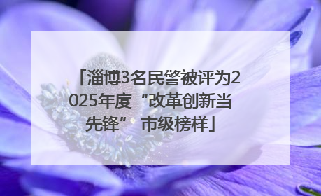 淄博3名民警被评为2025年度“改革创新当先锋” 市级榜样