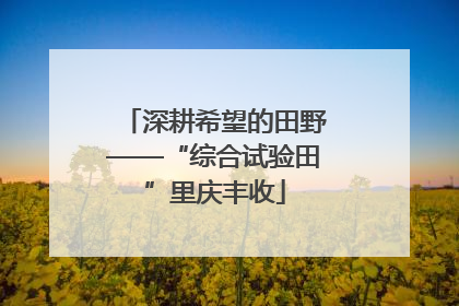 深耕希望的田野——“综合试验田”里庆丰收