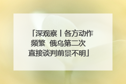 深观察丨各方动作频繁  俄乌第二次直接谈判前景不明
