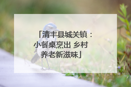 清丰县城关镇：小餐桌烹出 乡村养老新滋味