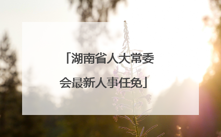 湖南省人大常委会最新人事任免