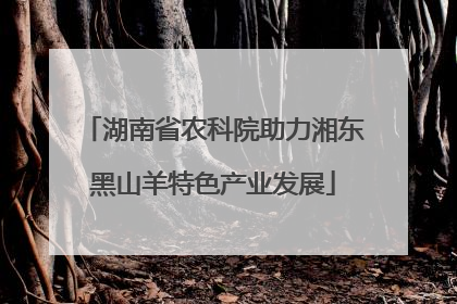 湖南省农科院助力湘东黑山羊特色产业发展
