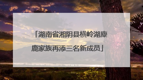 湖南省湘阴县横岭湖麋鹿家族再添三名新成员
