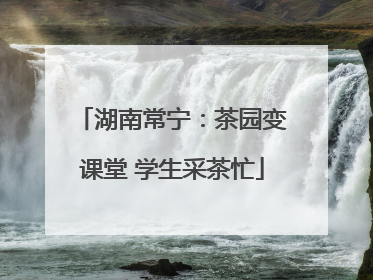 湖南常宁：茶园变课堂 学生采茶忙