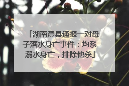 湖南澧县通报一对母子落水身亡事件：均系溺水身亡，排除他杀
