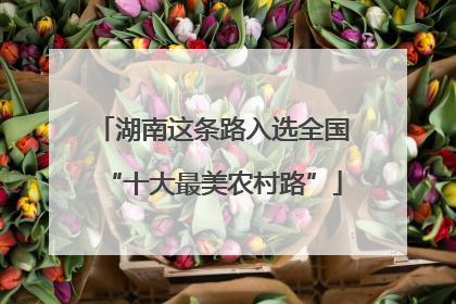 湖南这条路入选全国“十大最美农村路”