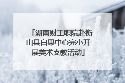 湖南财工职院赴衡山县白果中心完小开展美术支教活动
