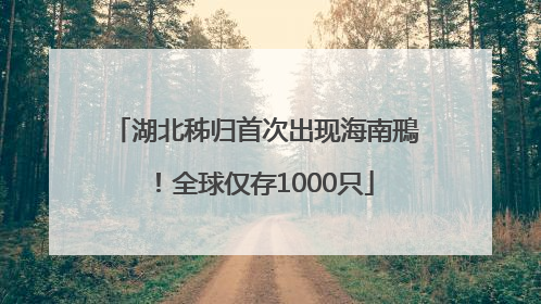 湖北秭归首次出现海南鳽！全球仅存1000只