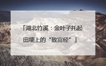 湖北竹溪：金叶子托起田埂上的“致富经”
