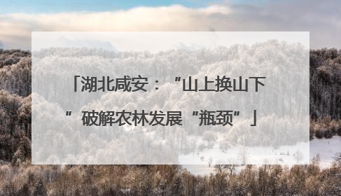 湖北咸安：“山上换山下”破解农林发展“瓶颈”