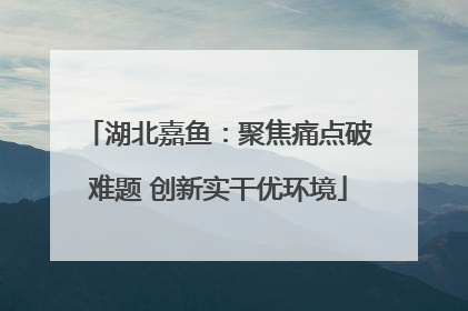 湖北嘉鱼：聚焦痛点破难题 创新实干优环境