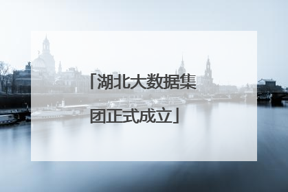 湖北大数据集团正式成立