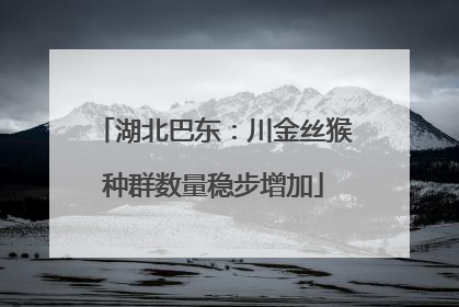 湖北巴东：川金丝猴种群数量稳步增加