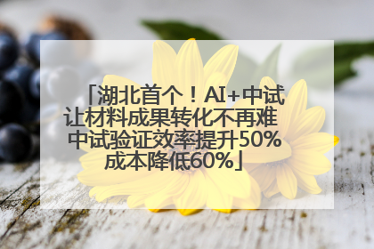 湖北首个！AI+中试让材料成果转化不再难 中试验证效率提升50%成本降低60%