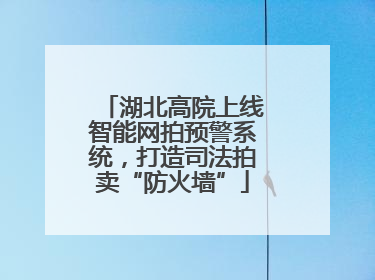 湖北高院上线智能网拍预警系统，打造司法拍卖“防火墙”