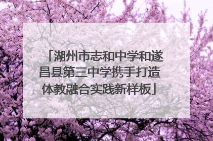 湖州市志和中学和遂昌县第三中学携手打造体教融合实践新样板