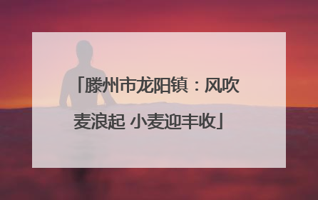 滕州市龙阳镇：风吹麦浪起 小麦迎丰收