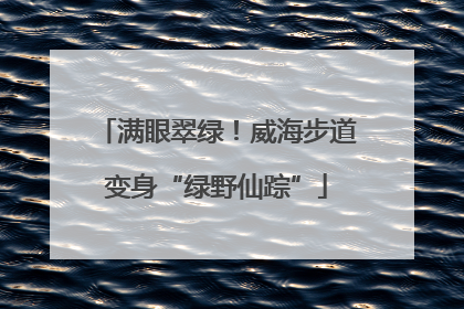 满眼翠绿！威海步道变身“绿野仙踪”