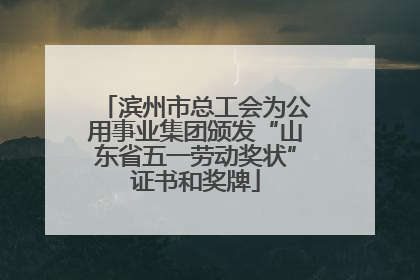 滨州市总工会为公用事业集团颁发“山东省五一劳动奖状”证书和奖牌