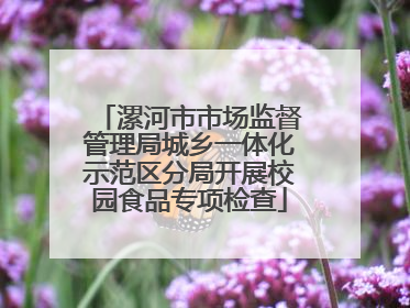 漯河市市场监督管理局城乡一体化示范区分局开展校园食品专项检查