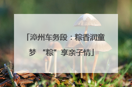 漳州车务段：粽香润童梦 “粽”享亲子情