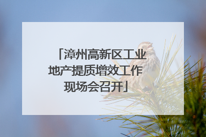 漳州高新区工业地产提质增效工作现场会召开