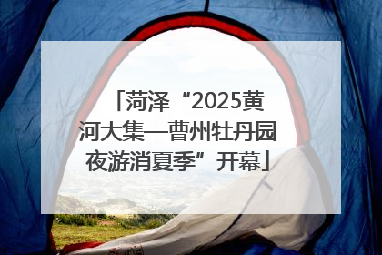 菏泽“2025黄河大集—曹州牡丹园夜游消夏季”开幕