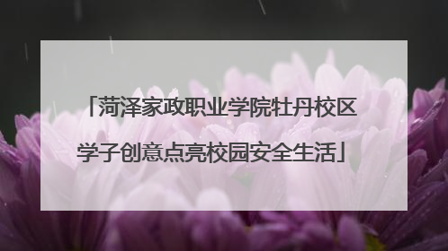 菏泽家政职业学院牡丹校区学子创意点亮校园安全生活