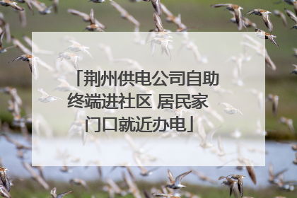 荆州供电公司自助终端进社区 居民家门口就近办电