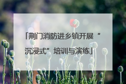 荆门消防进乡镇开展“沉浸式”培训与演练