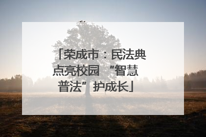 荣成市：民法典点亮校园 “智慧普法”护成长