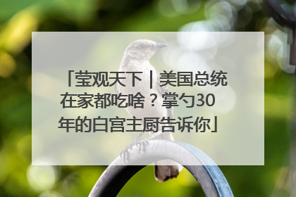 莹观天下｜美国总统在家都吃啥？掌勺30年的白宫主厨告诉你