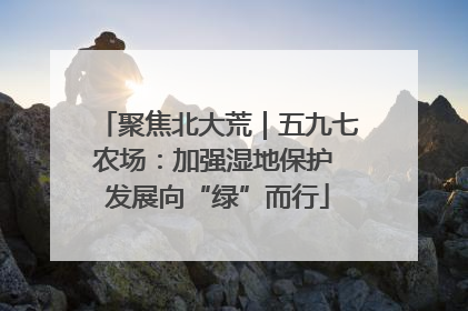 聚焦北大荒｜五九七农场：加强湿地保护 发展向“绿”而行