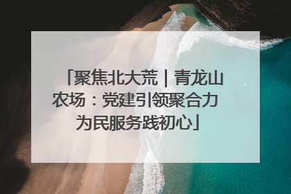 聚焦北大荒｜青龙山农场：党建引领聚合力 为民服务践初心