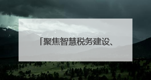 聚焦智慧税务建设、国际税收治理 29名非洲财税官湖南取经
