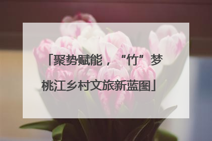 聚势赋能，“竹”梦桃江乡村文旅新蓝图