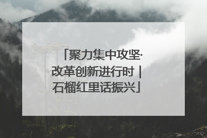 聚力集中攻坚·改革创新进行时｜石榴红里话振兴