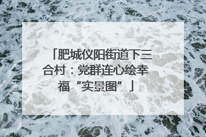 肥城仪阳街道下三合村：党群连心绘幸福“实景图”