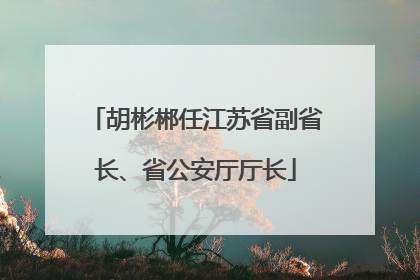 胡彬郴任江苏省副省长、省公安厅厅长