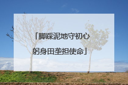 脚踩泥地守初心 躬身田垄担使命