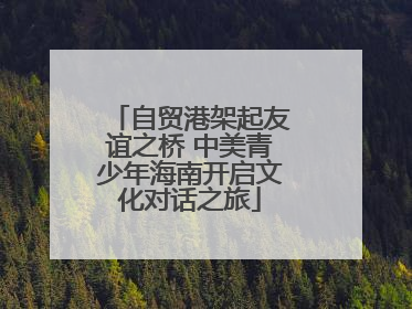 自贸港架起友谊之桥 中美青少年海南开启文化对话之旅