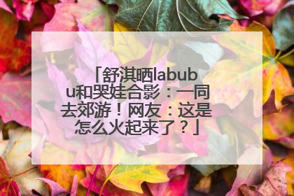 舒淇晒labubu和哭娃合影：一同去郊游！网友：这是怎么火起来了？