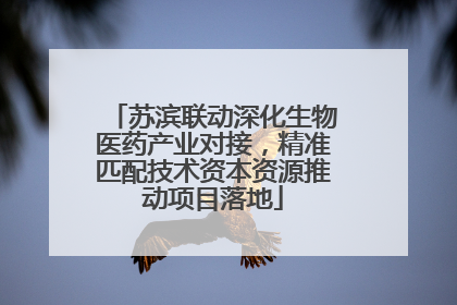 苏滨联动深化生物医药产业对接，精准匹配技术资本资源推动项目落地