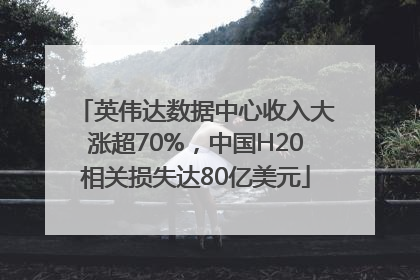 英伟达数据中心收入大涨超70%，中国H20相关损失达80亿美元