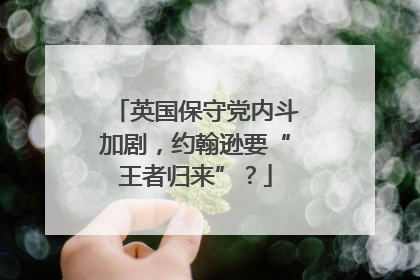 英国保守党内斗加剧，约翰逊要“王者归来”？