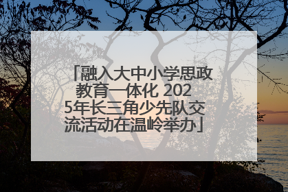 融入大中小学思政教育一体化 2025年长三角少先队交流活动在温岭举办