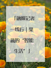 融媒记者一线行｜果蔬的“智能生活”