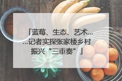 蓝莓、生态、艺术……记者实探张家楼乡村振兴“三重奏”