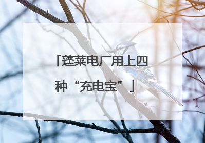 蓬莱电厂用上四种“充电宝”
