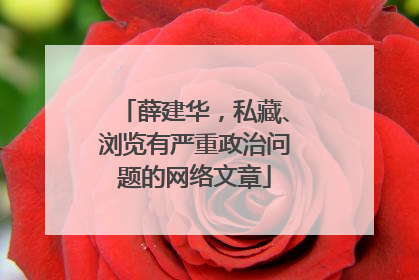 薛建华，私藏、浏览有严重政治问题的网络文章